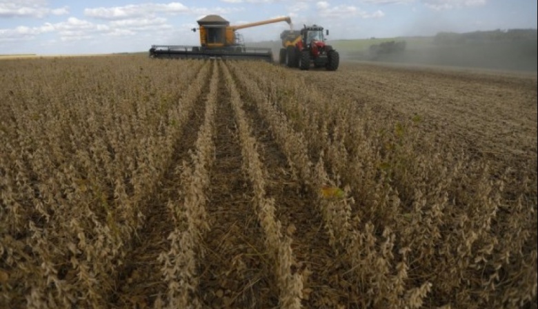 Brasil proyecta caída de 5% en producción de granos en 2024