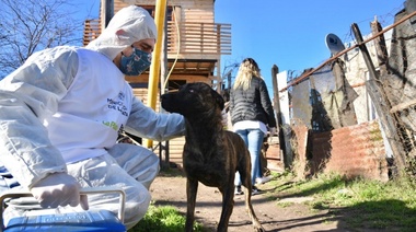 Un hombre de 44 años murió en La Plata y confirmaron 50 nuevos contagios de coronavirus en la región