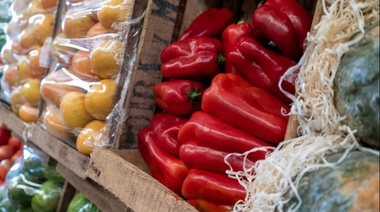 Cámaras de operadores mayoristas del Mercado Central retrotraen 20% los precios de frutas y verduras