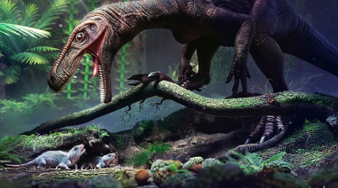 Fósil encontrado en Brasil puede ayudar a entender el origen de los dinosaurios