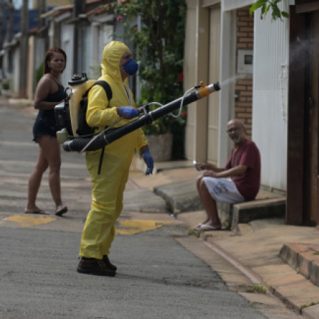Brasil se aproxima al millón de casos de dengue en 2024
