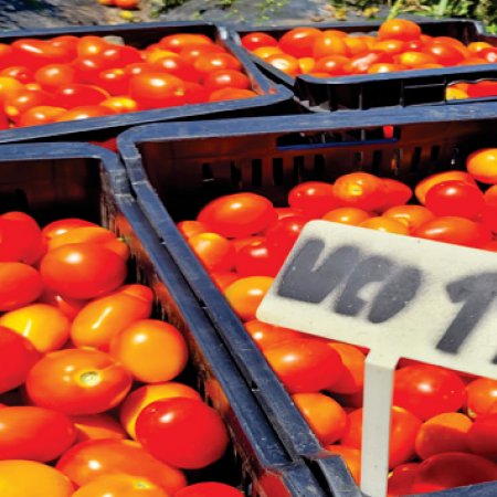 Productores del oeste platense: caminos detonados, inseguridad y hasta tomates chilenos